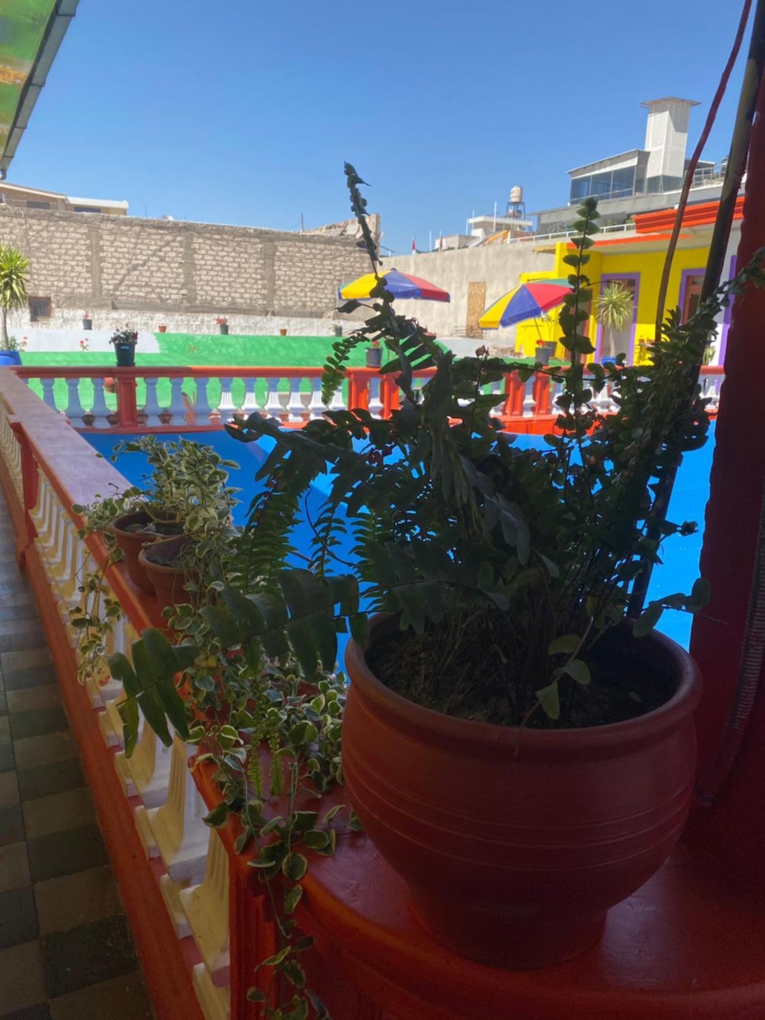 Pusary Hostel Arequipa Exteriér fotografie